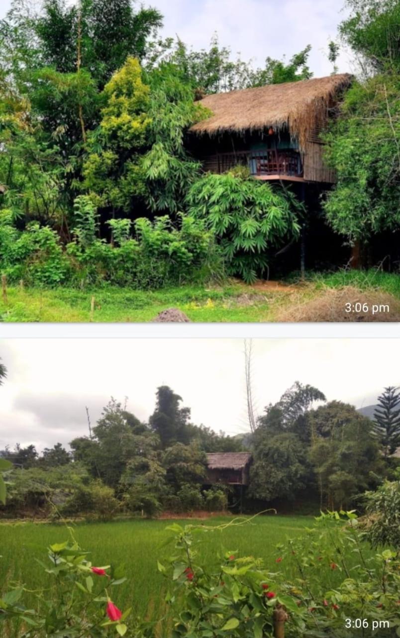 库曼科利传统度假村 Thirunelly 外观 照片